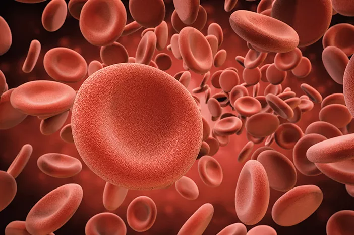 Virus Corona Bisa Sebabkan Pembekuan Darah, Ini Faktanya