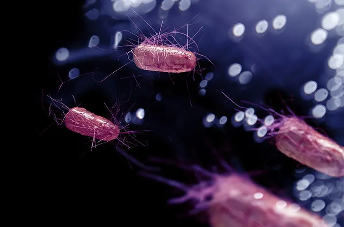 Infeksi Kulit Akibat Virus dan Jamur, Apa Perbedaannya?