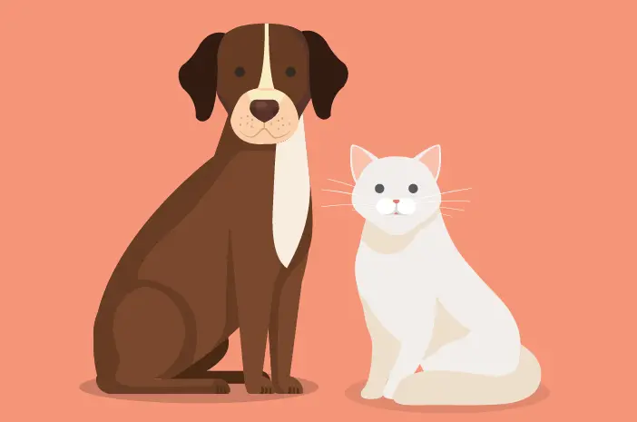 Ketahui tentang Virus Parvo yang Bisa Menyerang Anjing dan Kucing