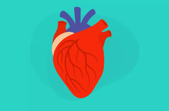 Benarkah Asam Lambung Memicu Serangan Jantung?
