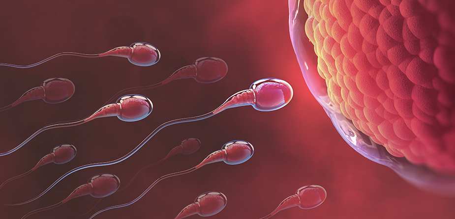 donor sperma