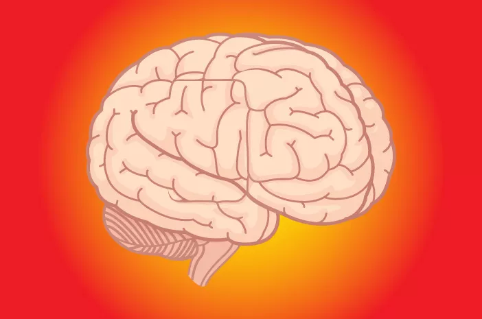 Cedera Otak Traumatis Bisa Sebabkan Kelumpuhan
