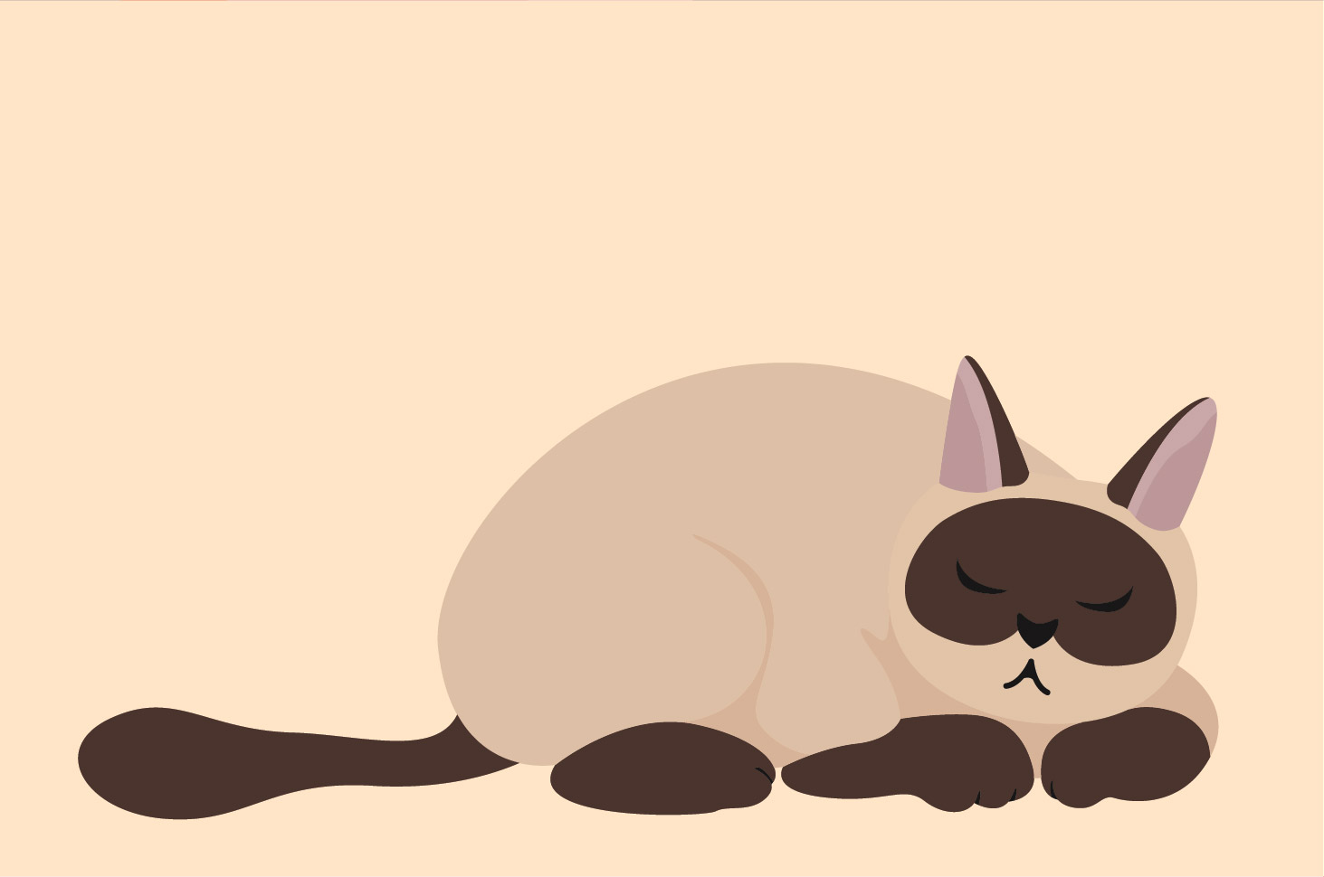 Tips Menangani Penyakit Ginjal Pada Kucing Peliharaan