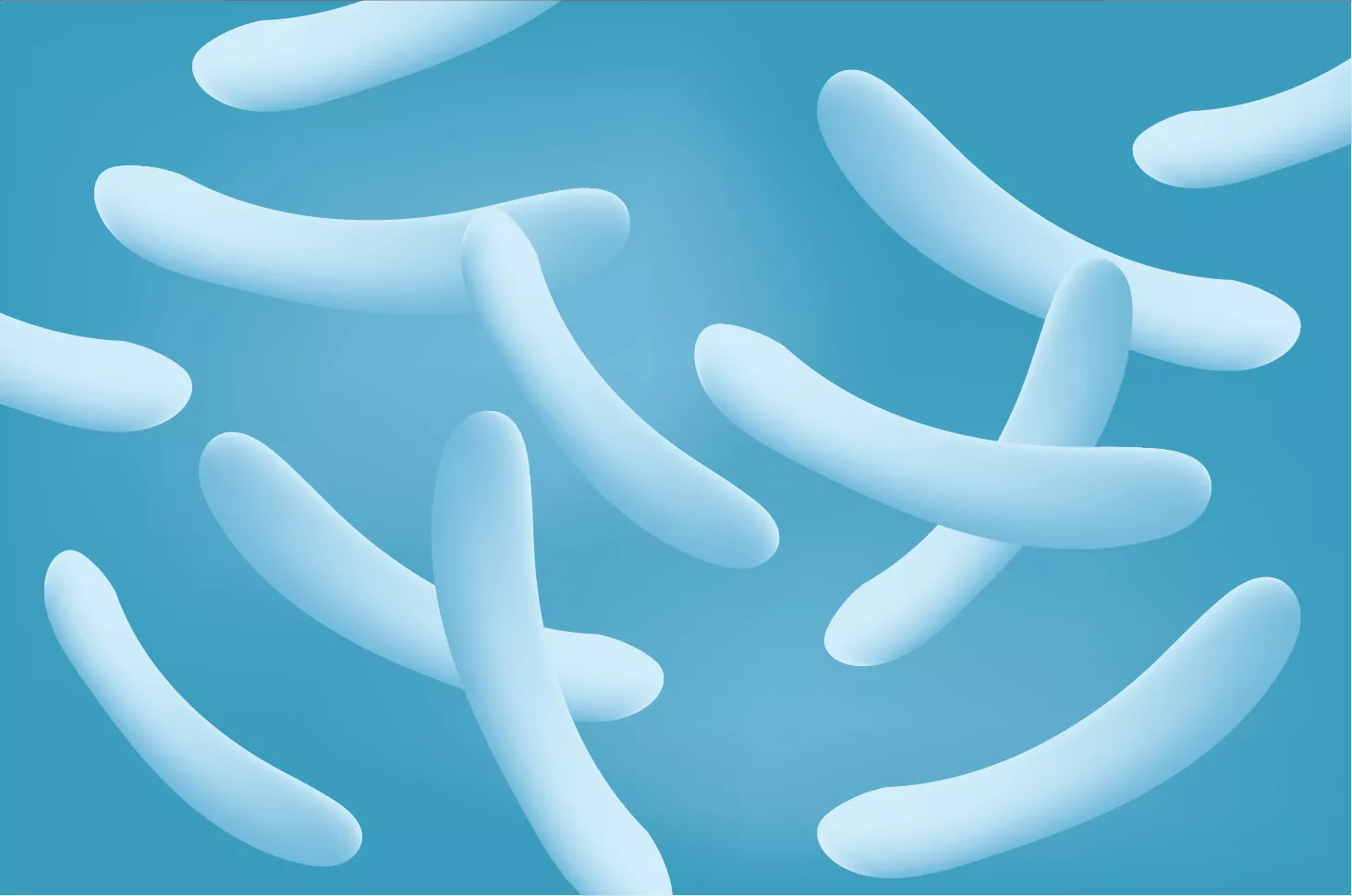 Deteksi Penyakit TBC dengan Pemeriksaan Bakteriologi