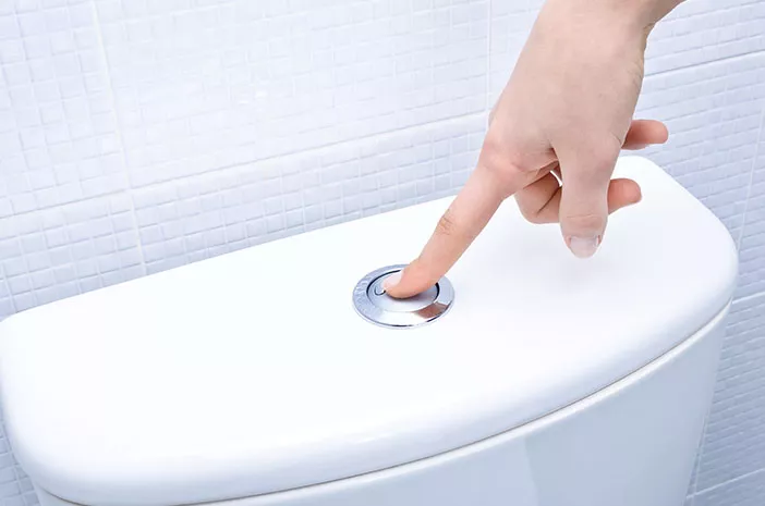 Hati-Hati, Flush Toilet Bisa Sebarkan Virus Termasuk Corona