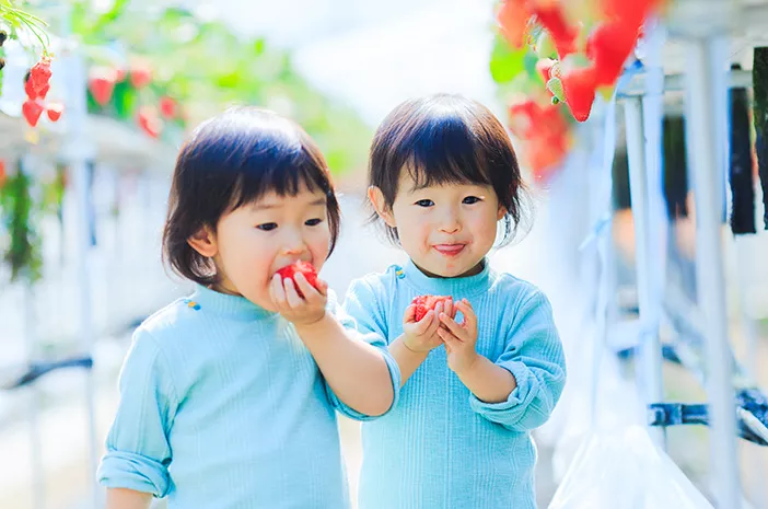 Ini 6 Cara Bujuk Anak untuk Makan Buah