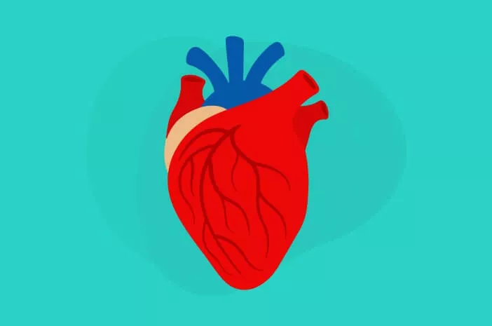 Mengapa Gangguan Jantung Bisa Menimbulkan Penyakit Lain? 
