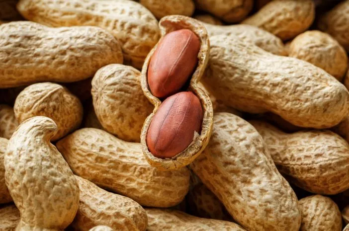 Sering Dialami Anak-Anak, Ini 3 Fakta Penting Mengenai Alergi Kacang
