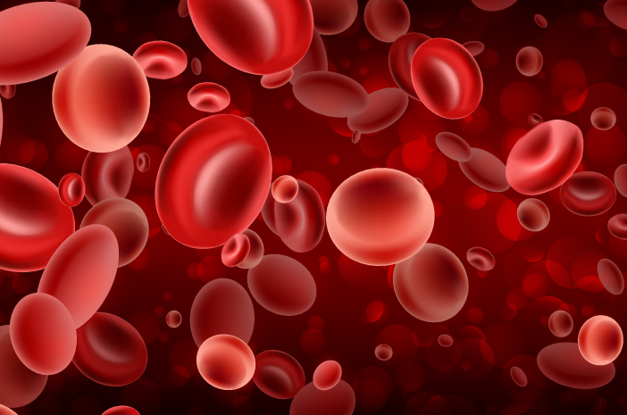 Penerapan Gaya Hidup Sehat saat Terdiagnosis Hiperlipidemia (E78.5)