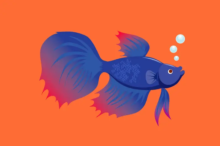 Ini yang Perlu Diketahui tentang Ikan Cupang Aduan
