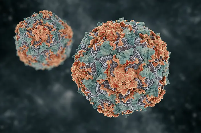 Ketahui Lamanya Virus Hepatitis Hidup di Luar Tubuh