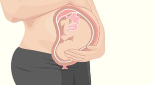 hamil terlalu lama bisa sebabkan gawat janin halodoc