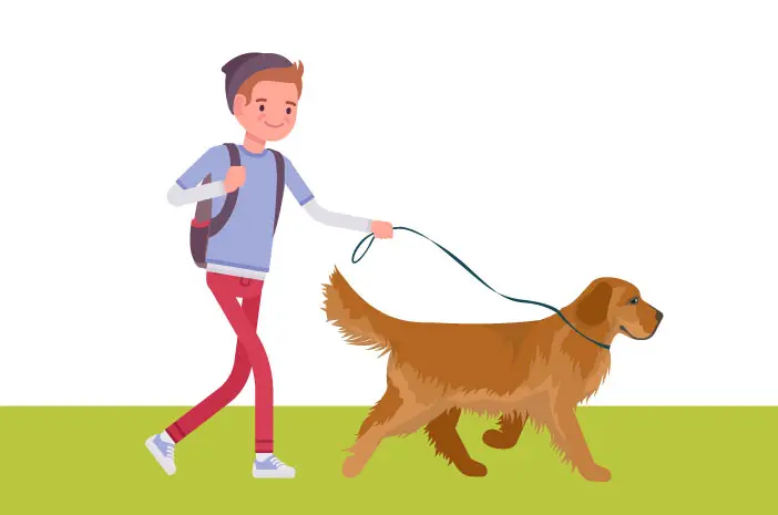 4 Cara agar Anjing Tidak Sakit Setelah Diajak Jalan-Jalan