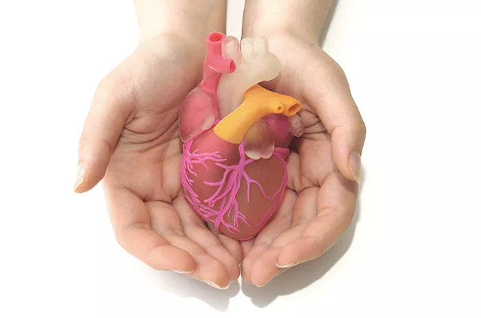 Periksa Jantung, Berapa Lama Waktu Lakukan Elektrokardiogram?