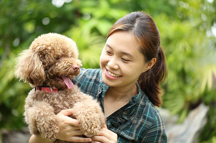 7 Penyebab dan  Cara Mengatasi Penyakit Kulit  pada Anjing 