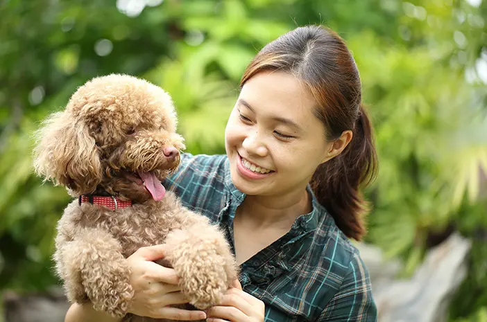 7 Penyebab dan Cara Mengatasi Penyakit Kulit pada Anjing 