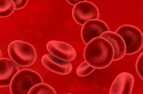 7 Fakta tentang Kelainan Darah Hemofilia
