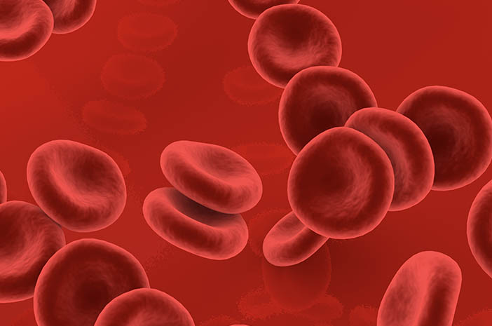 7 Fakta tentang Kelainan Darah Hemofilia