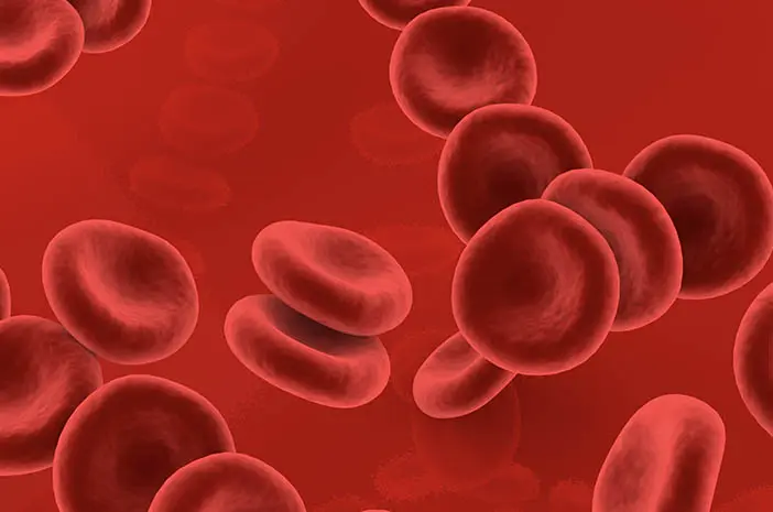 7 Fakta tentang Kelainan Darah Hemofilia