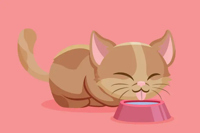 Seberapa Seringkah Kucing Harus Minum Air?
