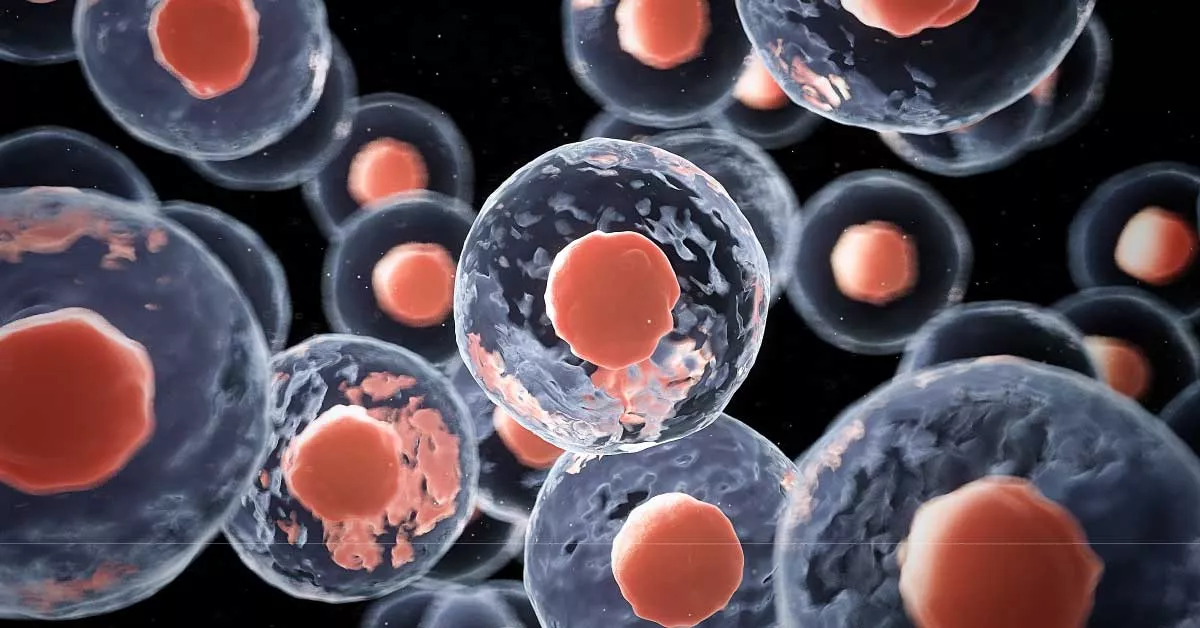 Kontroversi Stem Cell, Ini yang Perlu Diketahui