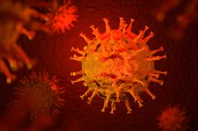 Apa yang Perlu Dilakukan saat Terinfeksi Coronavirus?
