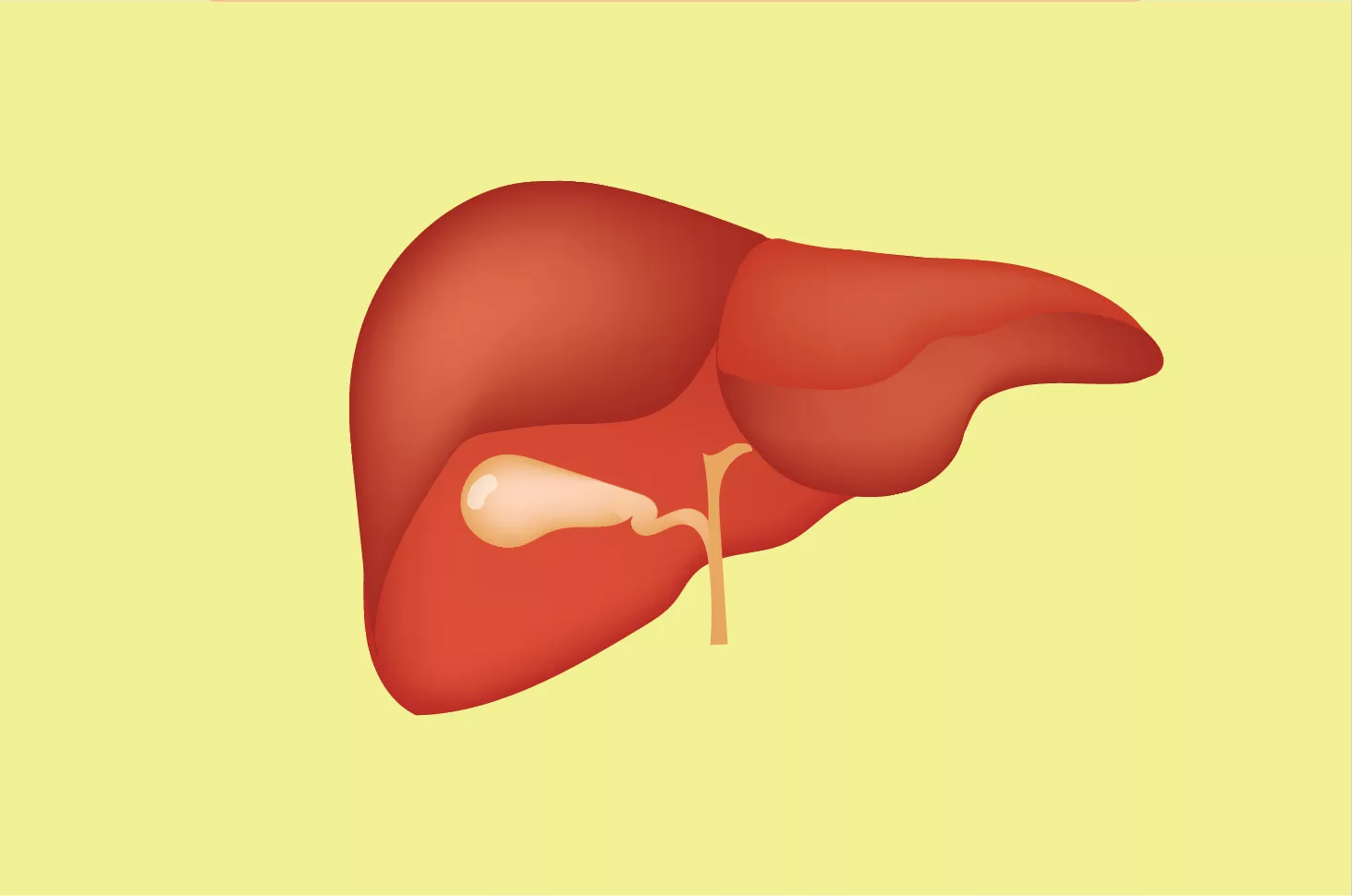 Menyerang Liver, Hepatitis B Bisa Jadi Kronis dan Akut