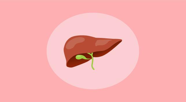 Ketahui 4 Fakta Seputar Penyakit Liver