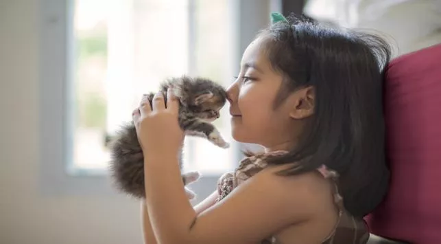 Benarkah Memelihara Kucing dapat Mencegah Asma pada Bayi?