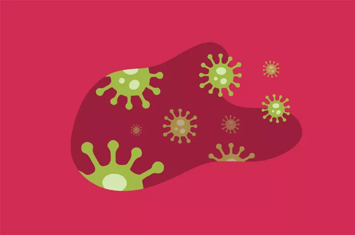 Dapatkah Flu Babi Menyerang Hewan Peliharaan?