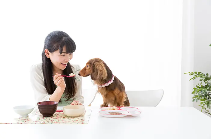 Makanan Manusia yang Baik untuk Anjing