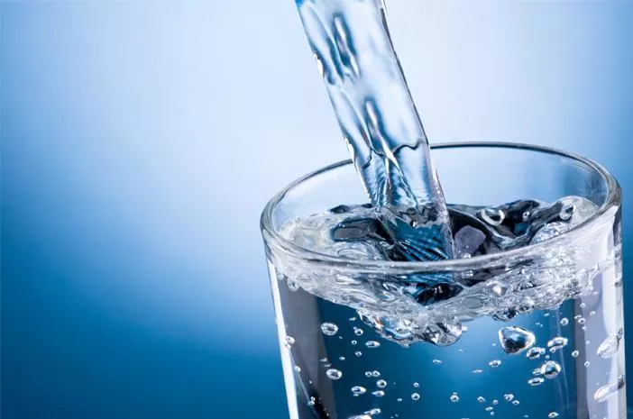 Agar Tak Dehidrasi, Berapa Banyak Air yang Dibutuhkan Tubuh?