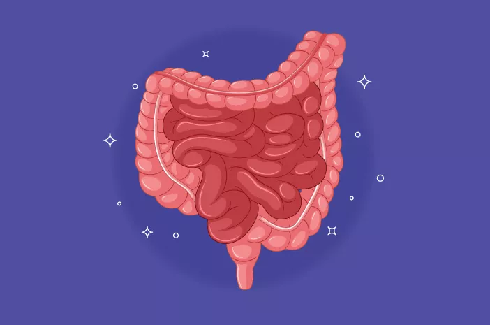 Waspadai Crohn, Penyakit yang Bisa Meningkatkan Komplikasi Berbahaya