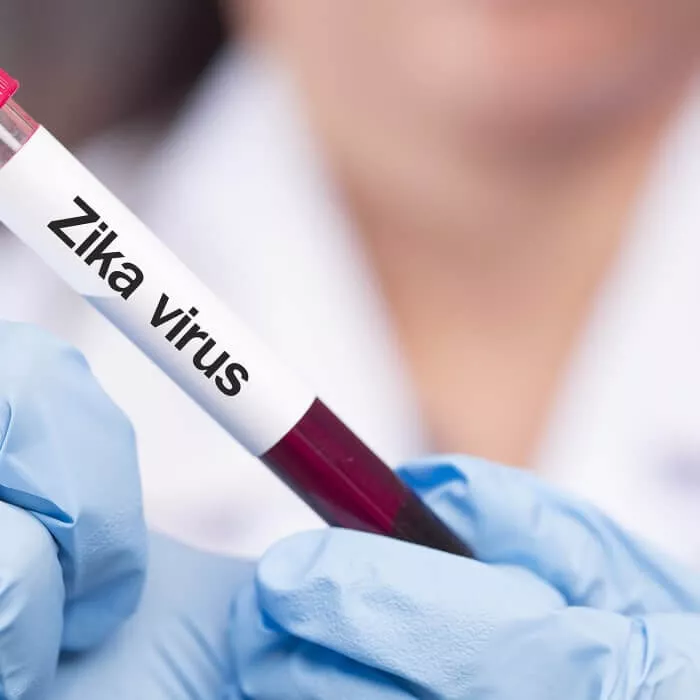 Ketahui Cara Penularan Virus Zika