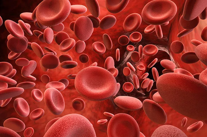 5 Kelainan Darah yang Terkait dengan Trombosit