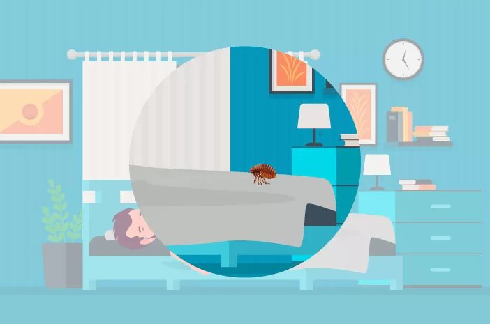 10 Cara Menghilangkan Bedbugs di Tempat Tidur