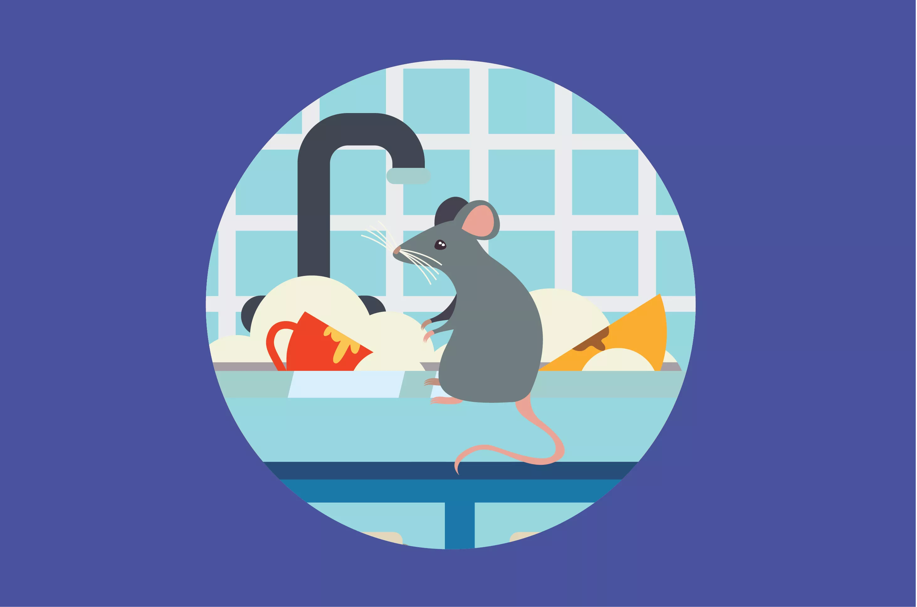 Rumah Kotor, Hati-Hati Bahaya Pes Akibat Tikus