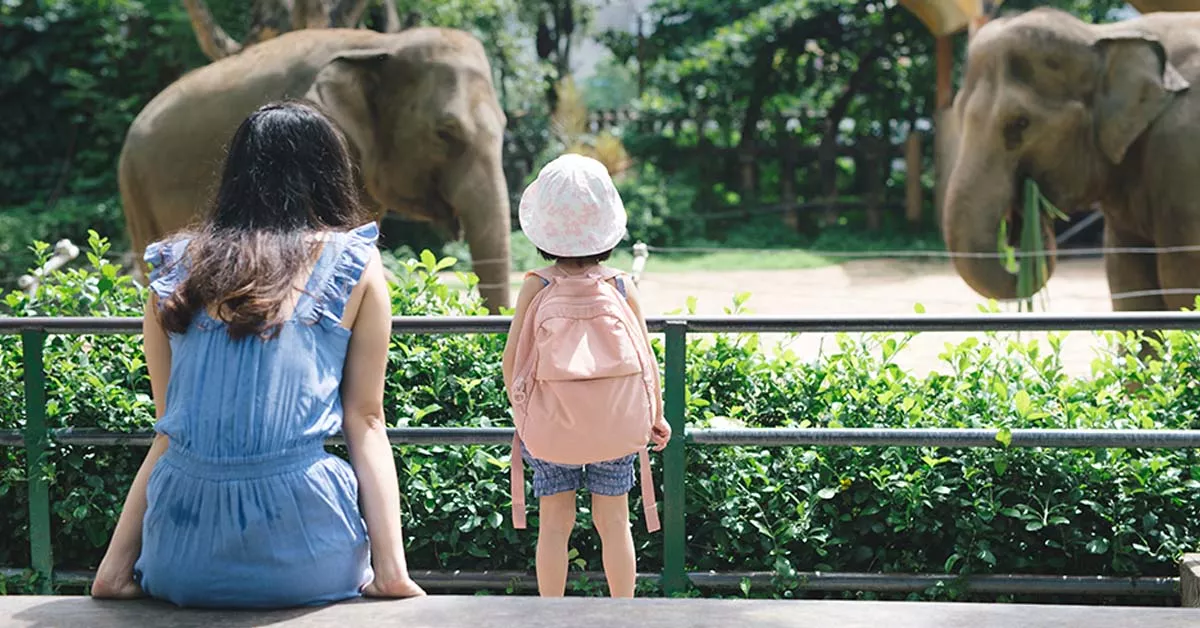 Liburan Seru, Ini 5 Manfaat Ajak Anak ke Kebun Binatang