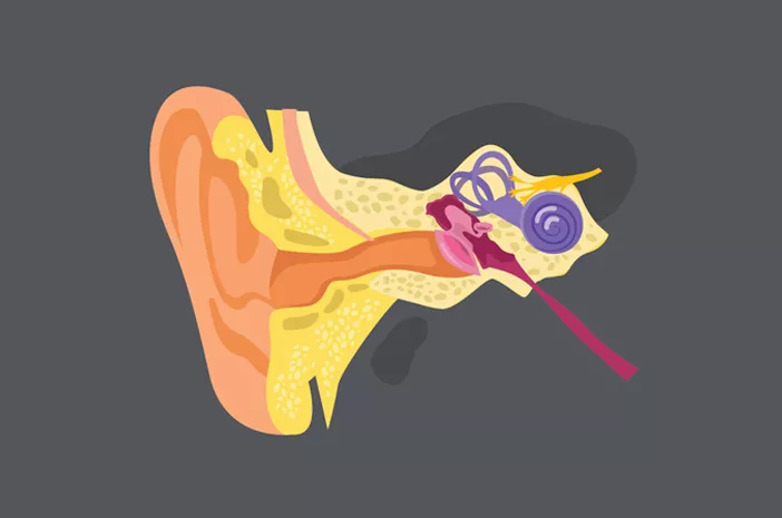 Ketahui Tinnitus yang Menyebabkan Telinga Sering Berdengung