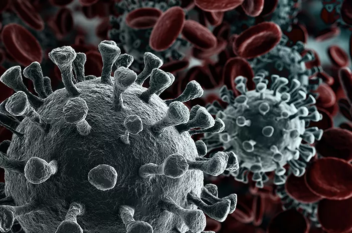 Mitos dan Fakta Terkait Coronavirus