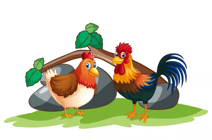 Masak Opor, Pilih Ayam Kampung atau Ayam Negeri?