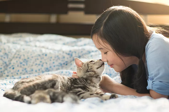 3 Cara Mencegah Cat Scratch Disease pada Si Kecil