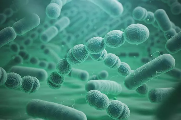 Faktor yang Tingkatkan Risiko Alami Bakteri Pneumonia 