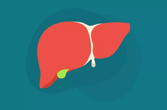 Inilah Fakta-Fakta Menarik Mengenai Liver