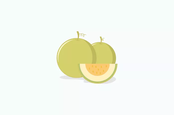 Alasan Buah Melon Baik untuk Menu MPASI Bayi