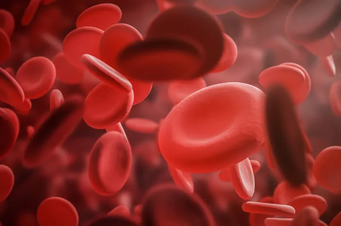 Mengapa Gangguan Pembekuan Darah Terjadi?