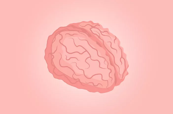 Tingkatkan Kesehatan Otak dengan 6 Jenis Makanan Ini