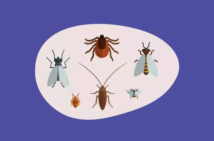 7 Makanan yang Dapat Mencegah Gigitan Serangga
