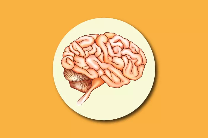 Ingin Hasil Kerja Bagus, Konsumsi 4 Makanan untuk Otak Ini