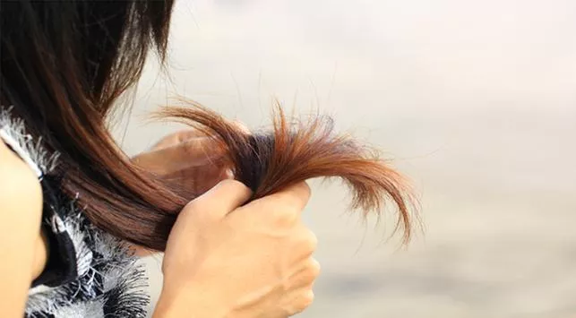 Bahan Kimia Sampo yang Bikin Rambut Kering
